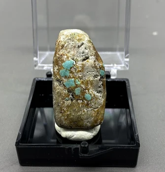 Veľmi vzácne! Prírodné poľský Tyrkysové Minerálne vzor kamene a kryštály liečivé kryštály kremeňa veľkosť boxu 3.4 cm